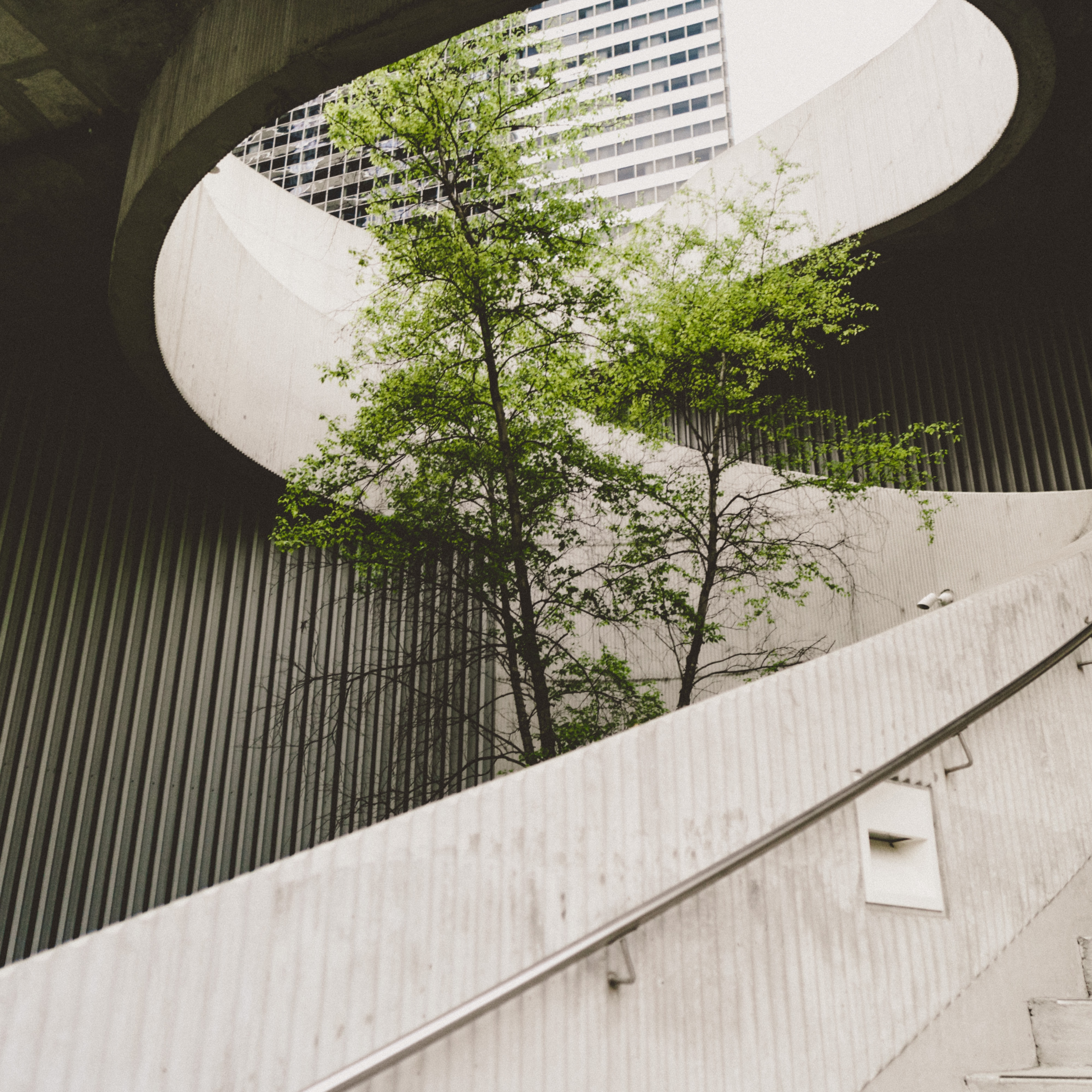 Grüner Baum der durch eine Wendeltreppe aus Beton durch eine darüberliegende Öffnung wächst